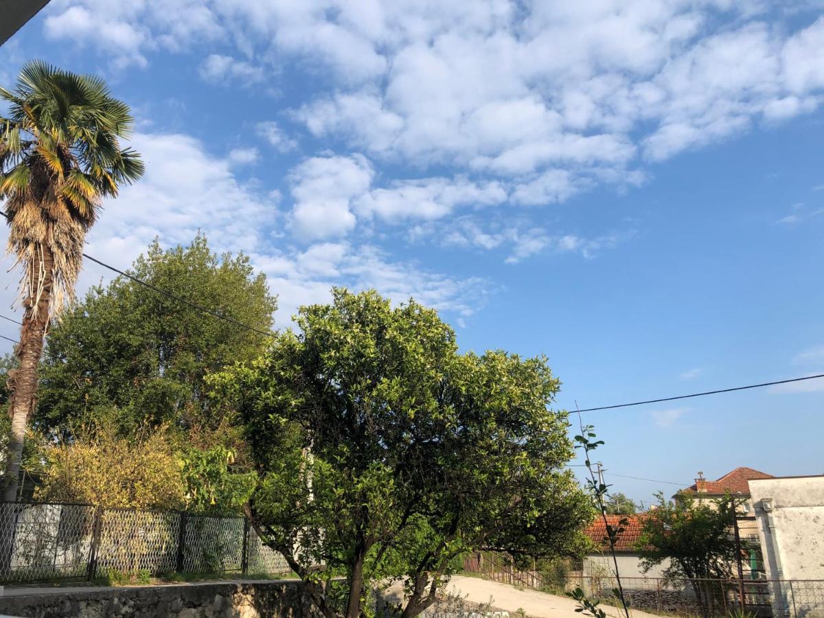 P&M Ilic Lägenhet Herceg Novi Exteriör bild